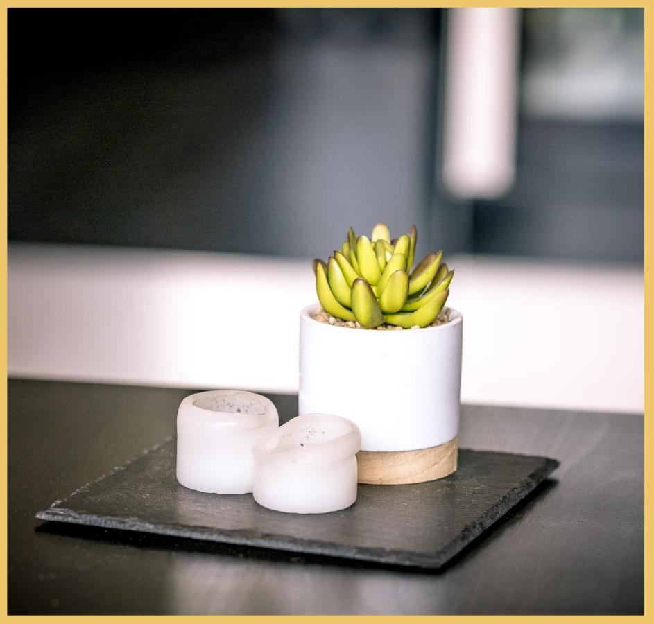 T2 I Vue Leman I Les Bains Apartment *